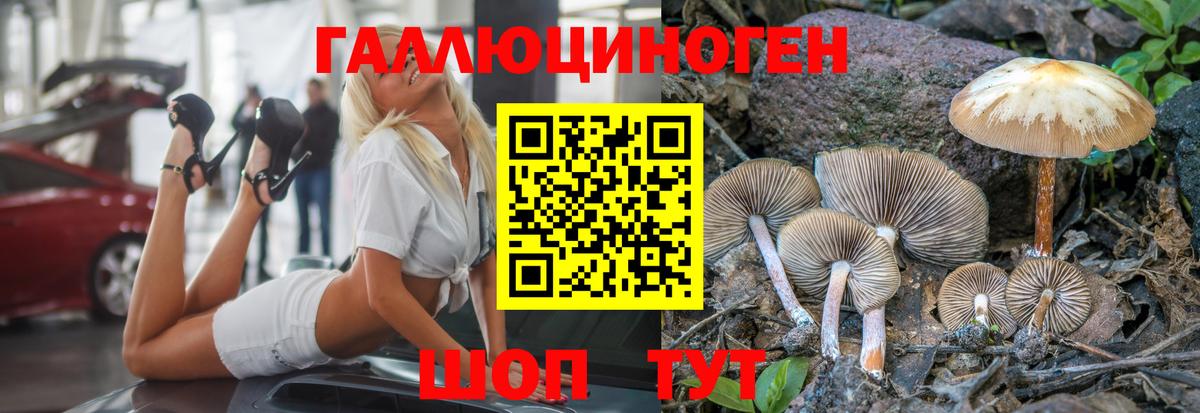 Галлюциногенные грибы GOLDEN TEACHER Троицк
